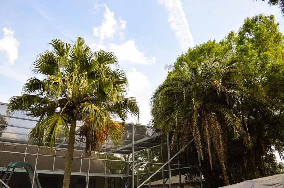 Local landscape design in Lakeland, FL - Kyle Fox's Pro Cut Lawn Service