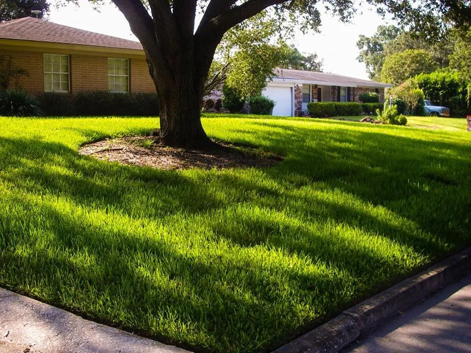 Expert landscape installation for year-round maintenance in Lakeland, FL by Kyle Fox's Pro Cut Lawn Service