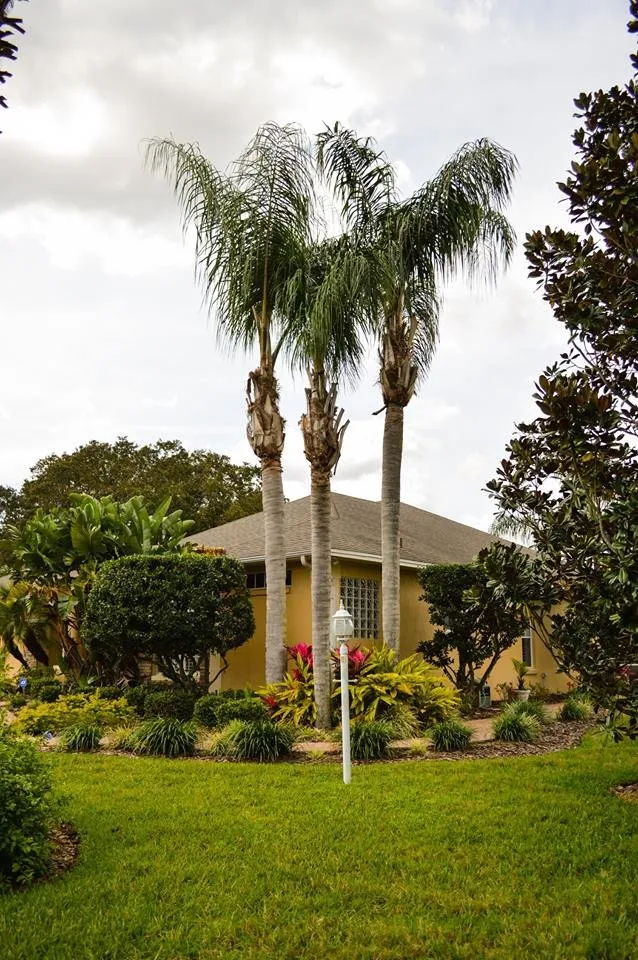 Top-rated residential landscaping in Lakeland, FL - Kyle Fox's Pro Cut Lawn Service