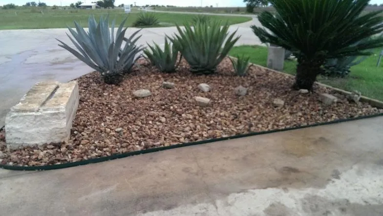 Expert yard maintenance in Kyle, TX - Kyle Landscaping Services