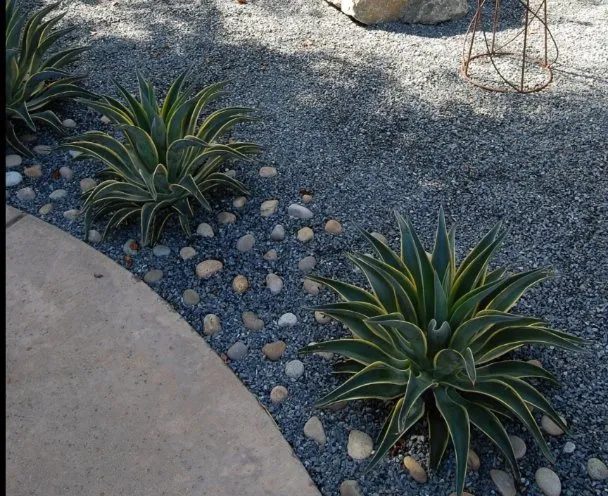 Trusted landscape design for residential properties across Kyle, TX - Kyle Lawn Works