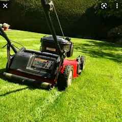 Professional garden landscaping for outdoor upgrades in Kyle, TX by Kyle Lawn Works