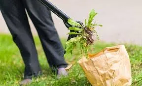 Kyle Lawn Works Logo