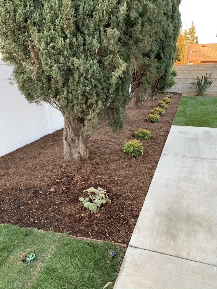 Affordable landscape design in Lebec, CA - Kyle Taylor Landscape and Irrigation