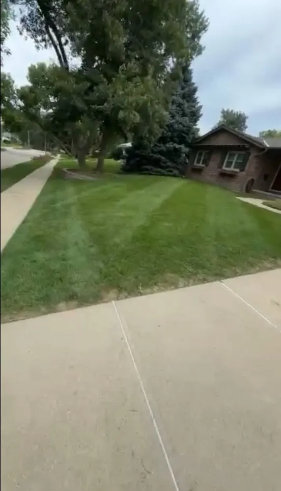 Expert lawn care service for year-round maintenance across Omaha, NE - Kylen's Lawn Service