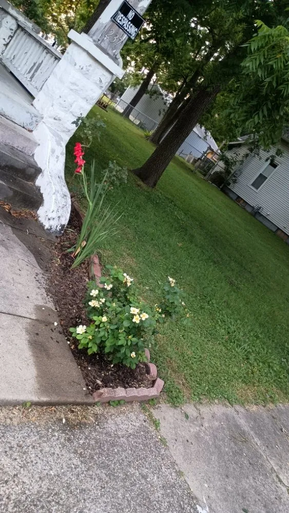 Professional landscaping services in Princeton, IN by Kyler's Landscapes and Lawn Care