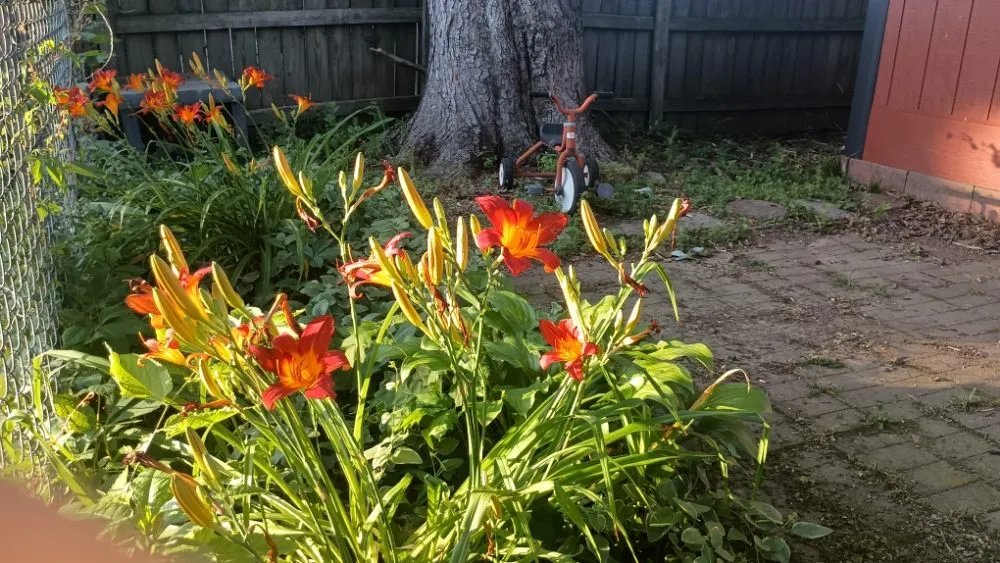 Reliable outdoor landscaping near you across Princeton, IN - Kyler's Landscapes and Lawn Care