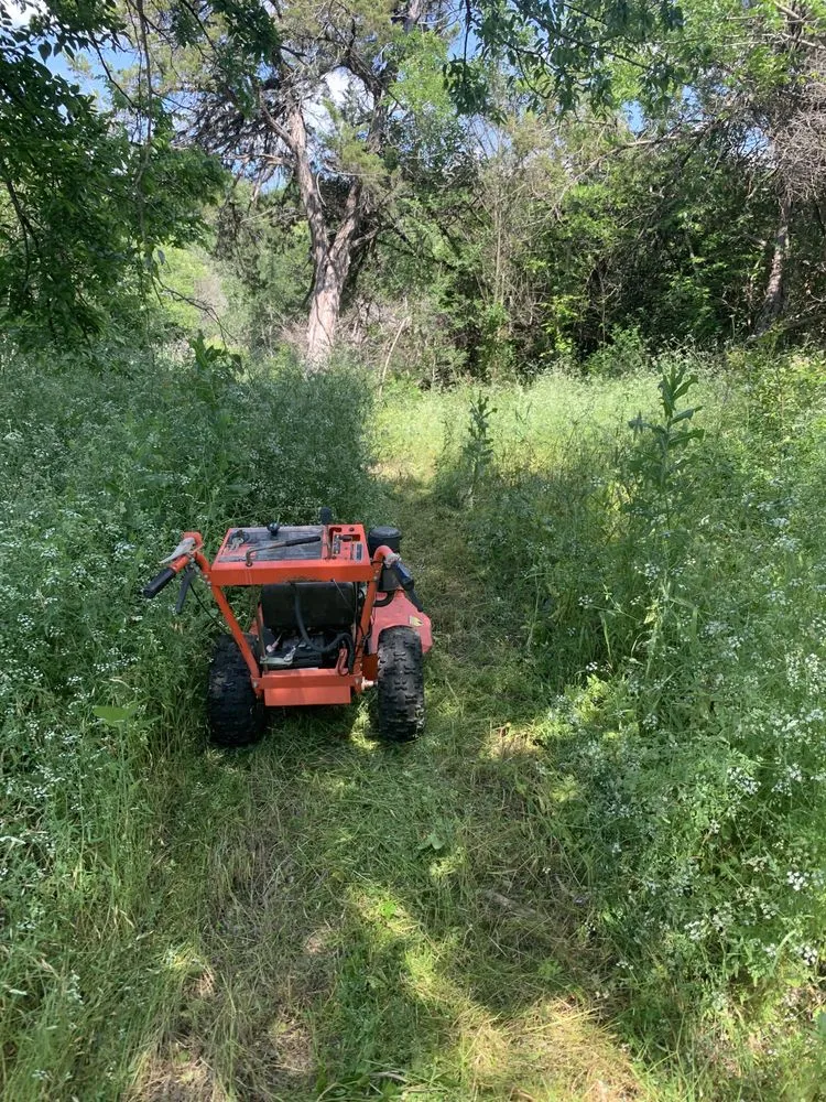 Professional yard cleanup service in Whitney, TX by Kyle's Happy Grass