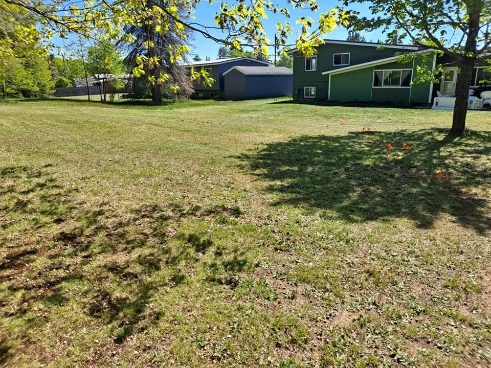 Affordable lawn care service in Gwinn, MI by Kyle's Home Works