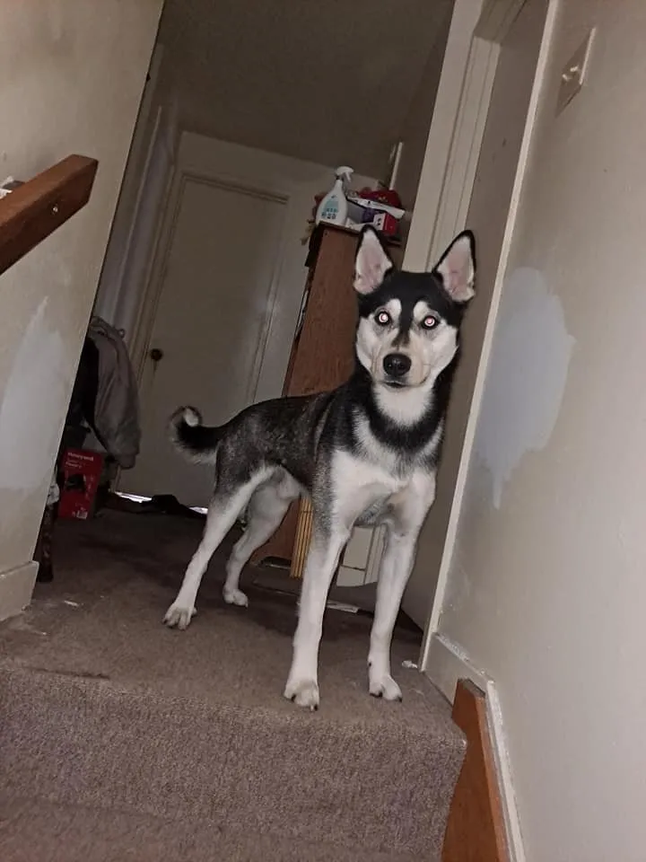 Trusted outdoor landscaping in Gwinn, MI by Kyle's Home Works