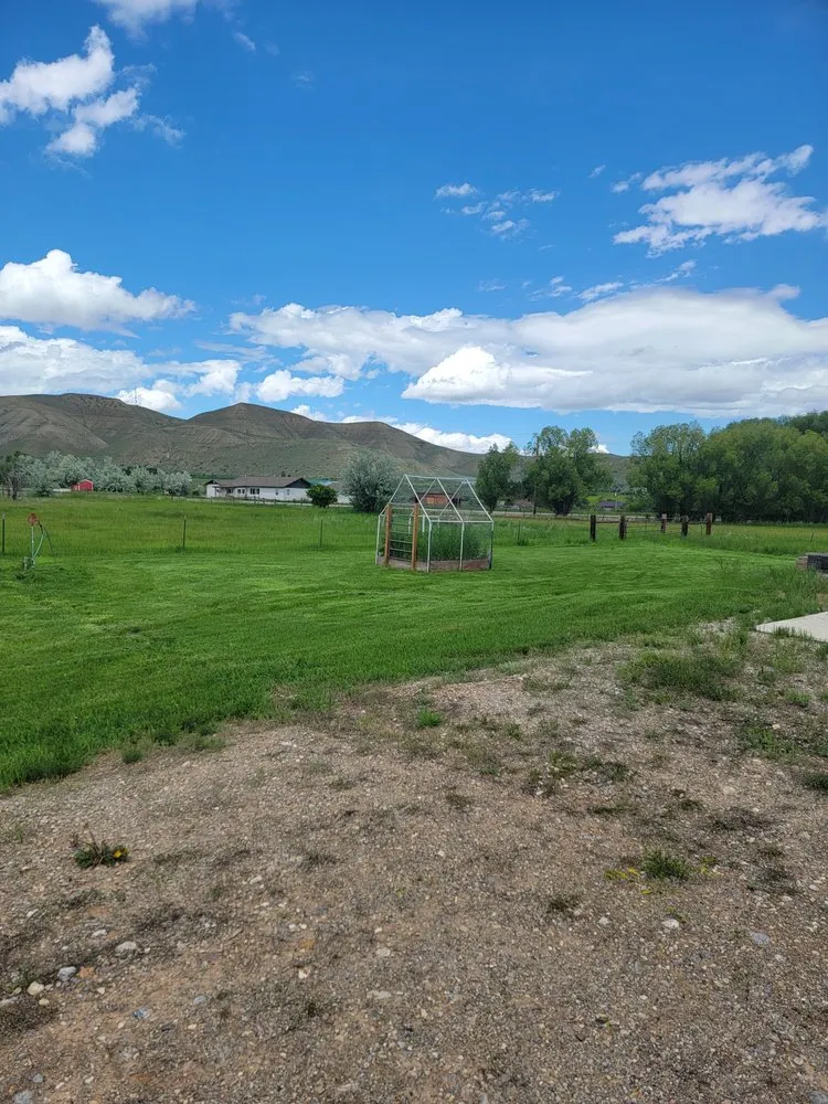 Expert landscape design in Riverton, WY by Kyle's Kustom lawn care