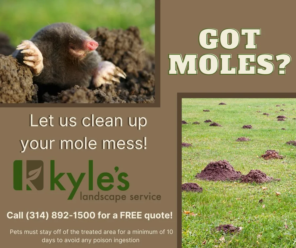 Expert landscaping services experts serving St. Louis, MO - Kyle's Landscape Service