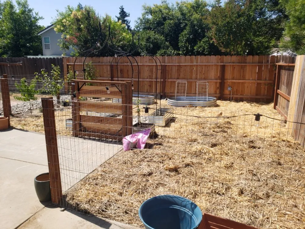 Affordable yard cleanup service experts serving Riverbank, CA - Kyle's Lawn & Yard Services