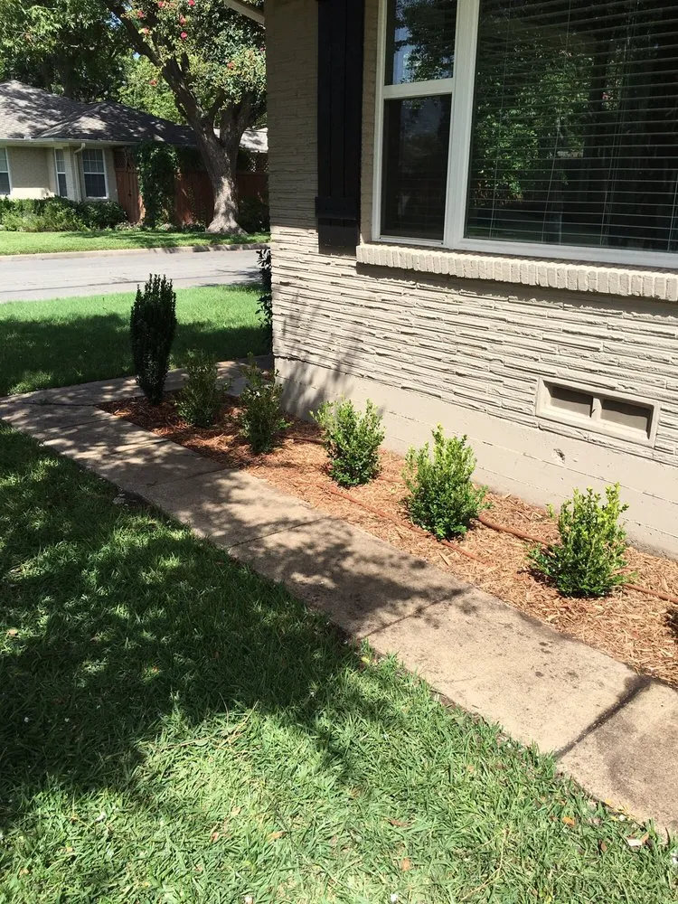 Reliable lawn mowing service in Dallas, TX by Kyle's Lawn Service