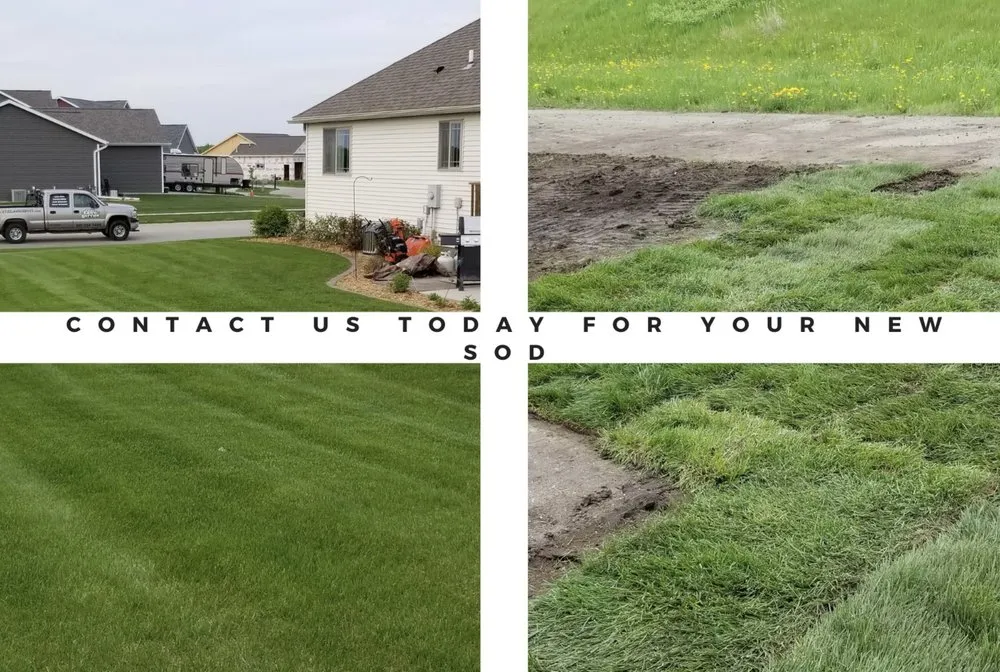 Expert yard maintenance in Kasson, MN - Kyle's Lawn Service