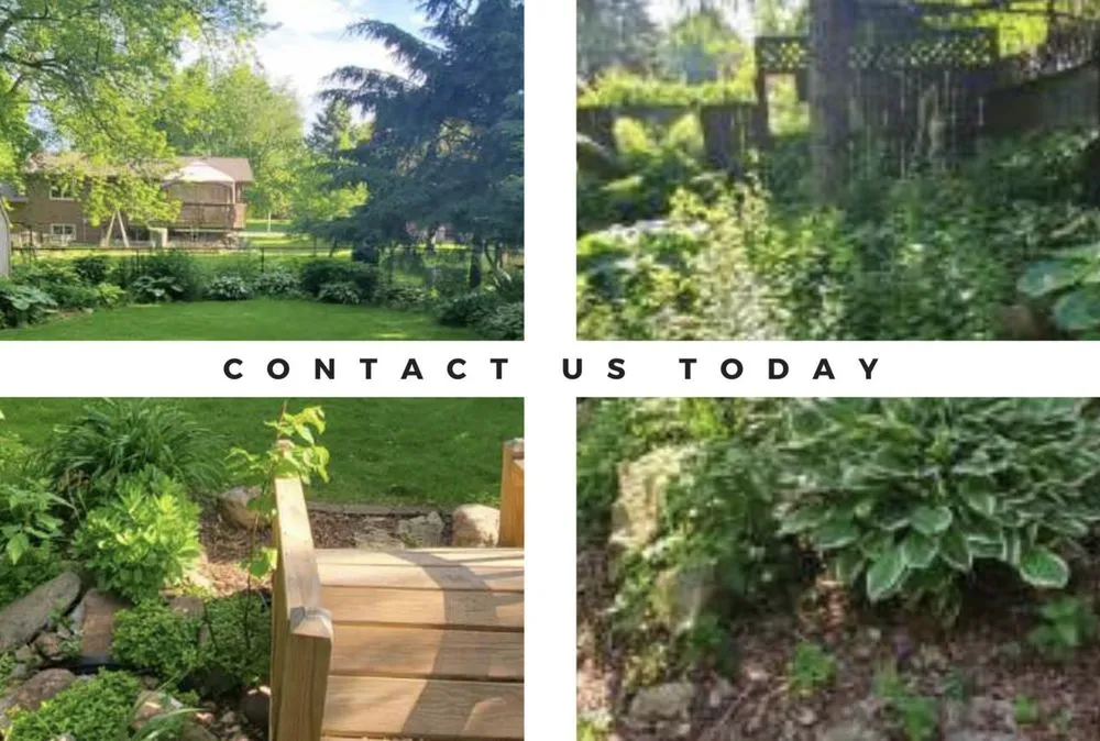 Custom lawn care service experts serving Kasson, MN - Kyle's Lawn Service