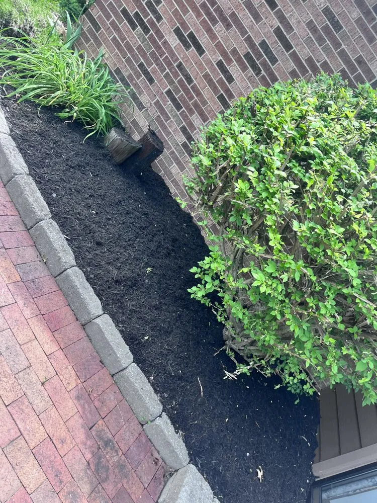 Affordable yard cleanup service with custom design across Groveport, OH - Kyles Lawncare