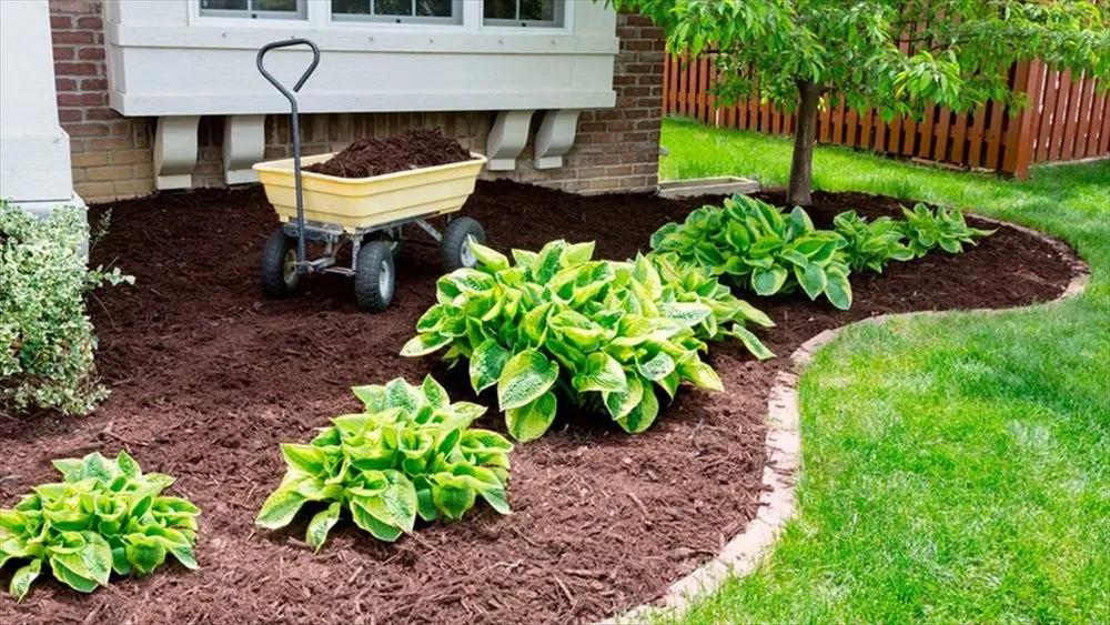 Custom landscaping services for residential properties in Evansville, IN by Kyle’s Lawncare Plus