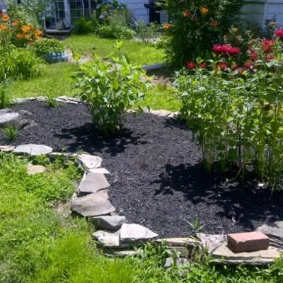 Kyle’s Lawncare Plus Logo