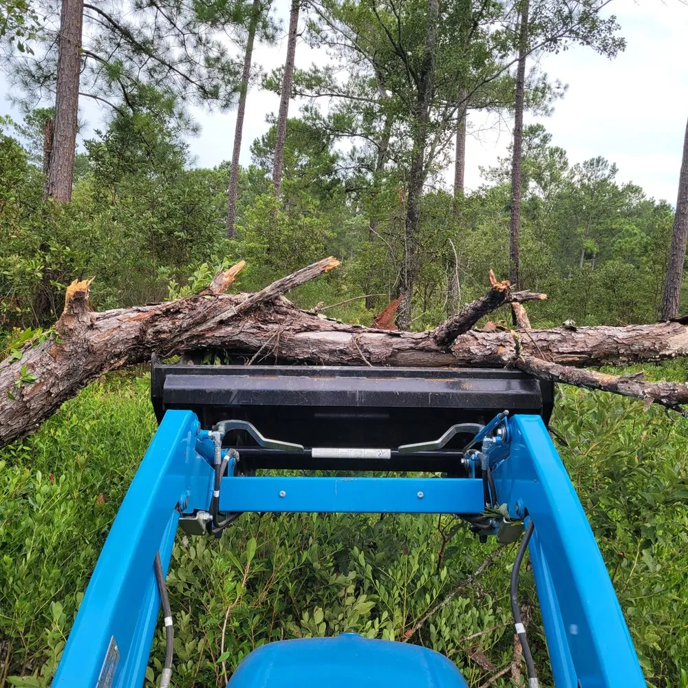 Local yard cleanup service for homes in Tifton, GA by Kyle's Tractor Service