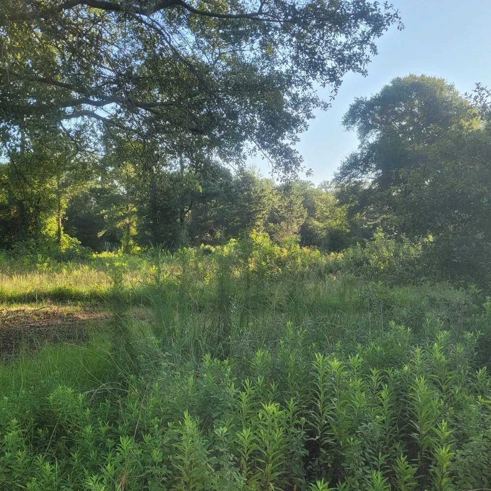 Professional lawn mowing service experts serving Tifton, GA - Kyle's Tractor Service