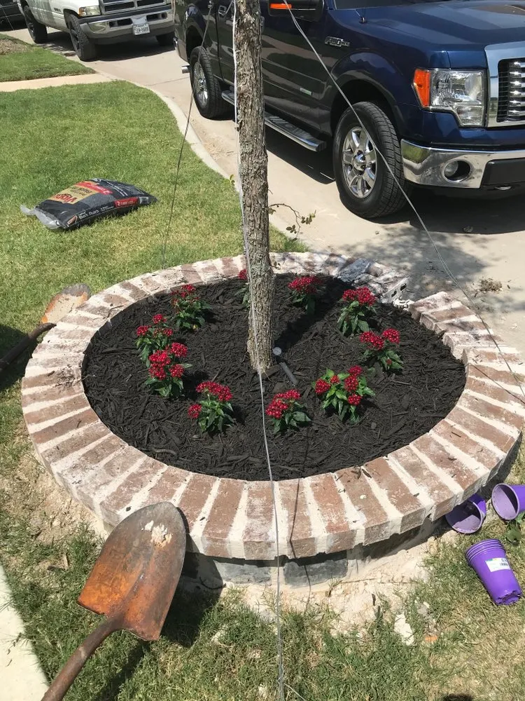 Affordable yard cleanup service experts serving Dallas, TX - Kylon Tree & Lawn Service