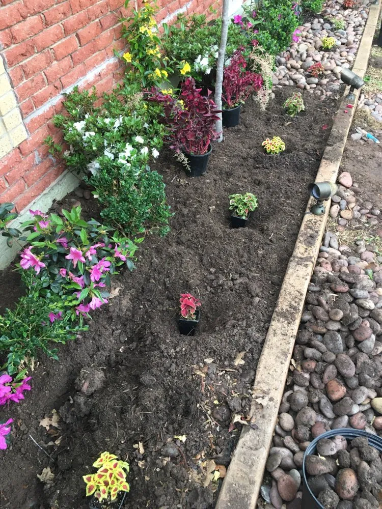 Professional lawn mowing service in Dallas, TX by Kylon Tree & Lawn Service