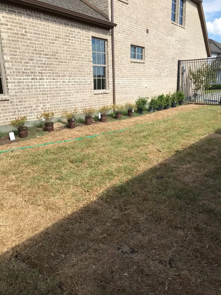 Professional residential landscaping in Dallas, TX - Kylon Tree & Lawn Service