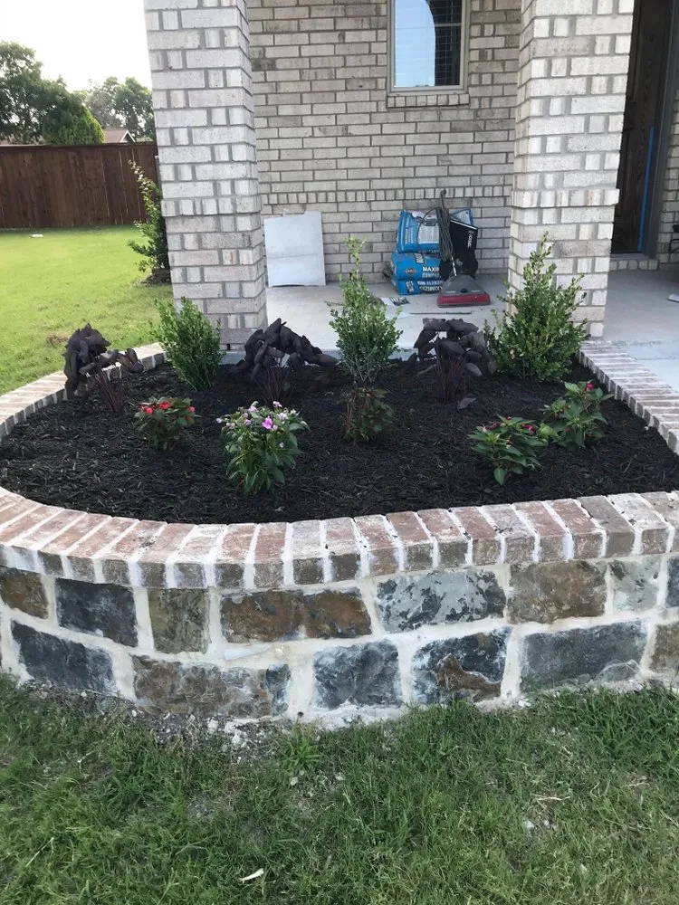 Professional yard maintenance in Dallas, TX by Kylon Tree & Lawn Service