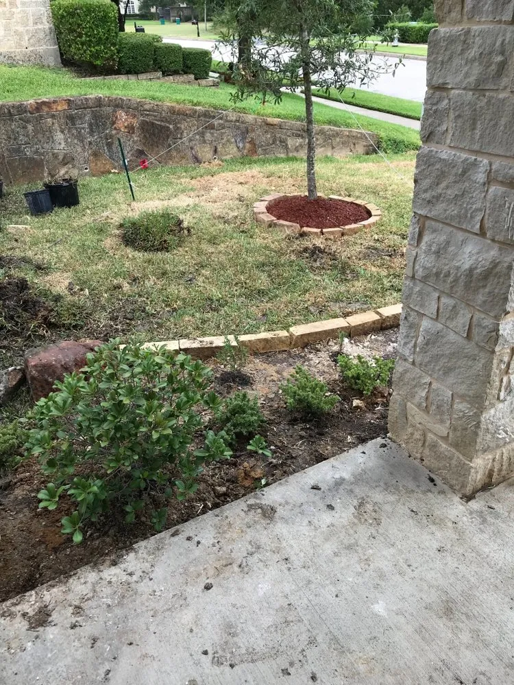 Custom lawn mowing service experts serving Dallas, TX - Kylon Tree & Lawn Service