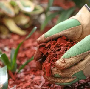 Professional landscaping services experts serving Coal Valley, IL - Kymbyl Komplete Kare