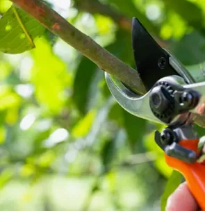 Expert lawn care service in Coal Valley, IL - Kymbyl Komplete Kare