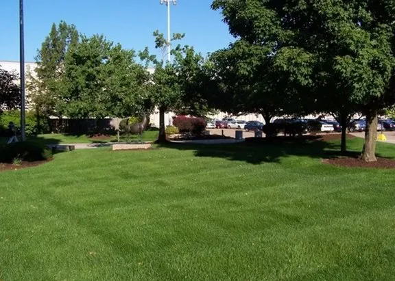 Local outdoor landscaping for beautiful yards across Coal Valley, IL - Kymbyl Komplete Kare