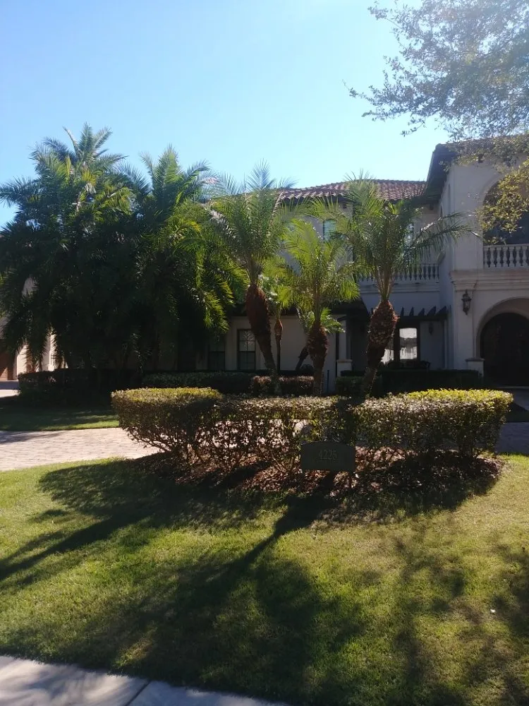 Professional landscape installation for outdoor upgrades in Haines City, FL by Kyng Of Kings