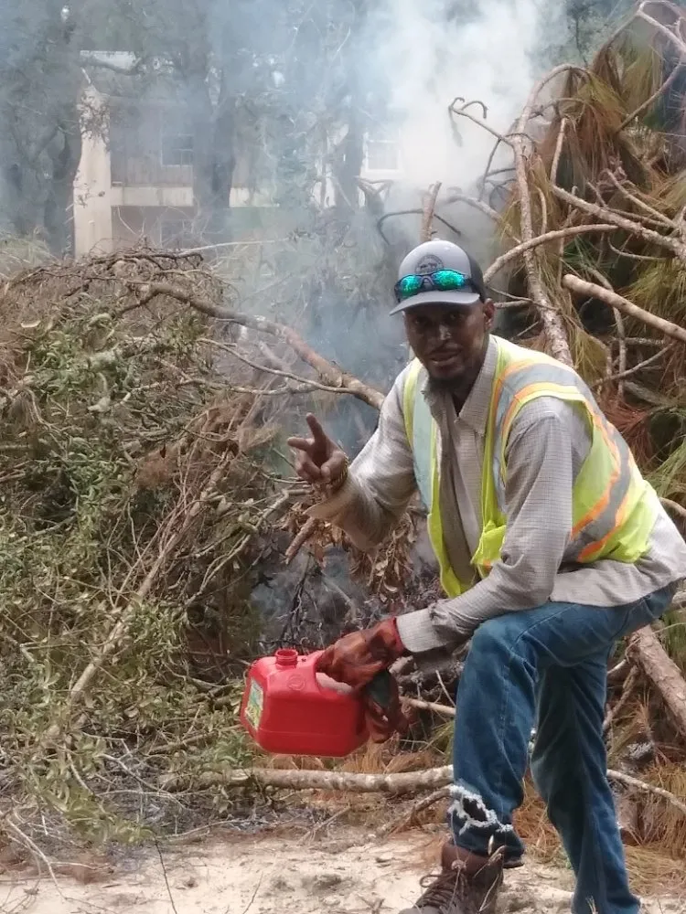 Affordable landscape installation experts serving Haines City, FL - Kyng Of Kings