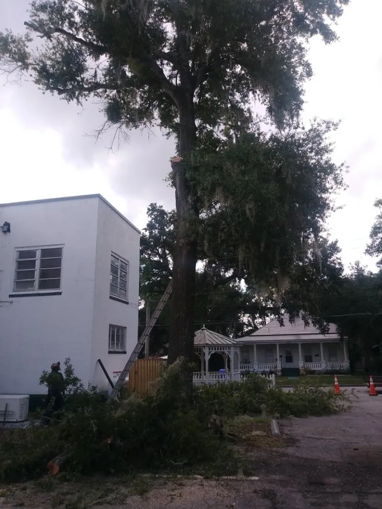 Expert landscaping services experts serving Haines City, FL - Kyng Of Kings