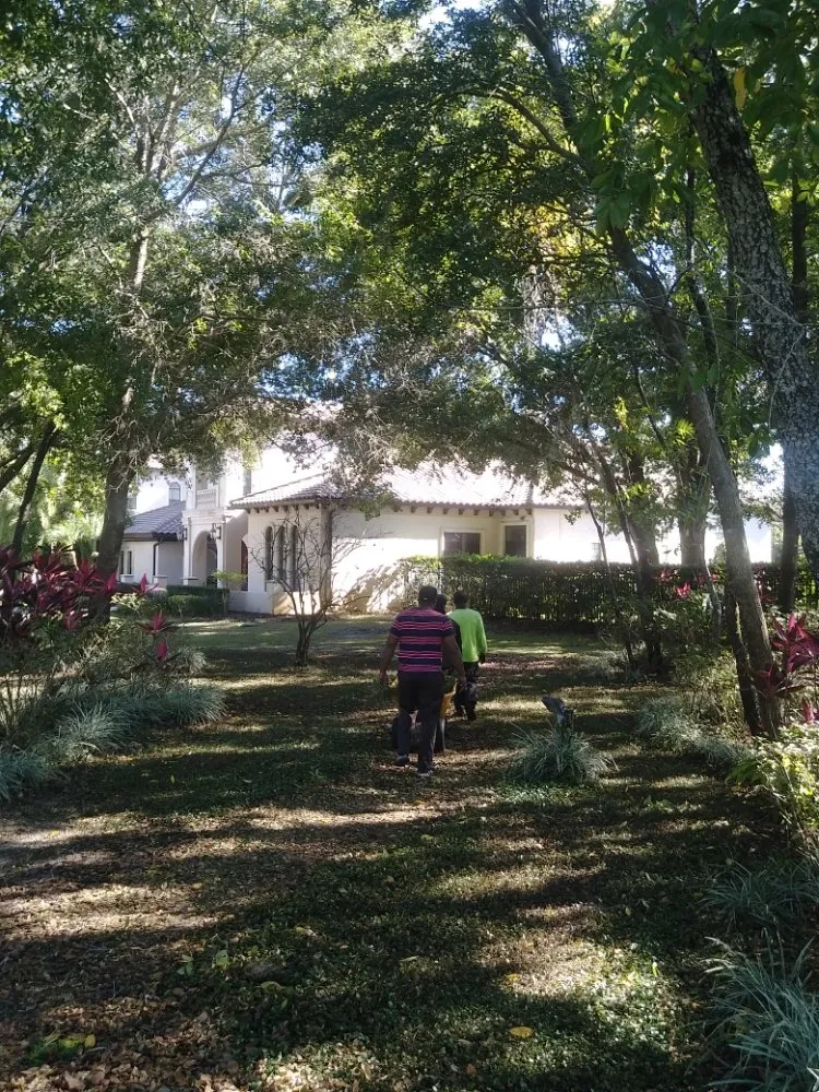 Trusted yard maintenance in Haines City, FL - Kyng Of Kings