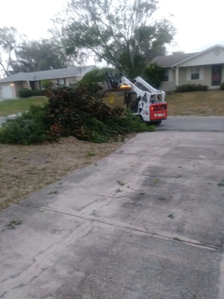 Affordable outdoor landscaping experts serving Haines City, FL - Kyng Of Kings