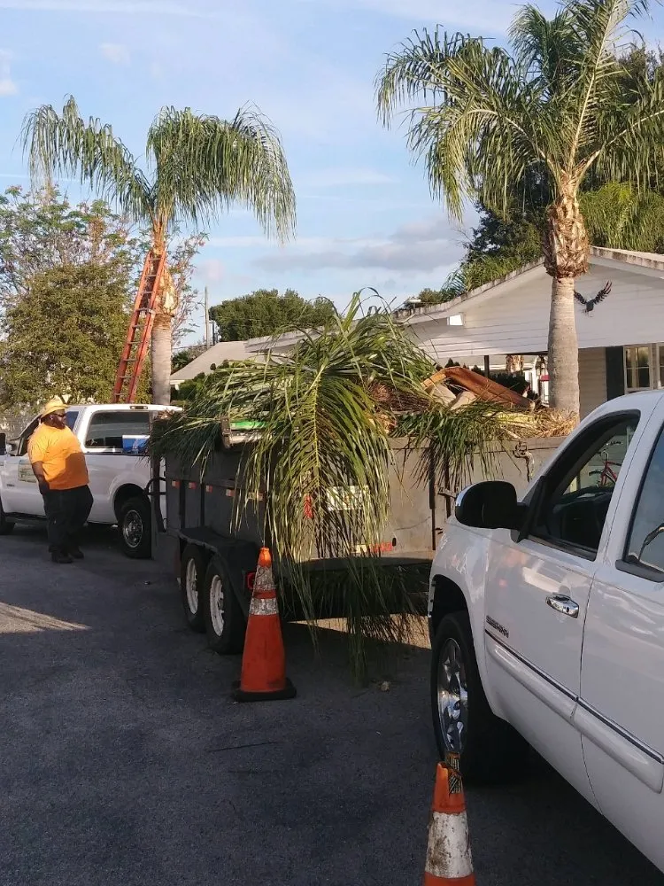 Affordable garden landscaping in Haines City, FL - Kyng Of Kings