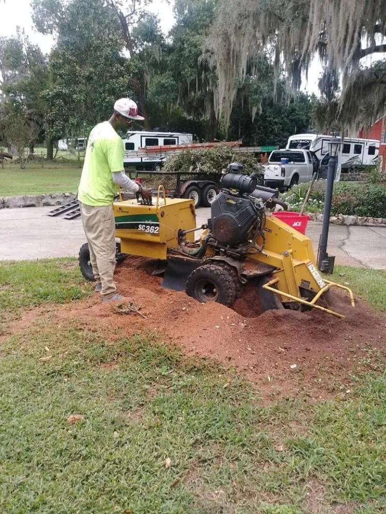 Expert landscaping services in Haines City, FL - Kyng Of Kings