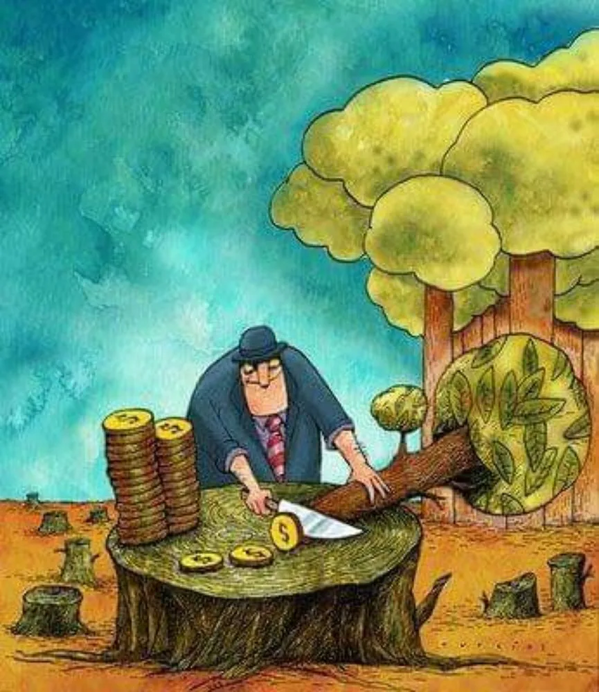 Local lawn care service in Haines City, FL - Kyng Of Kings