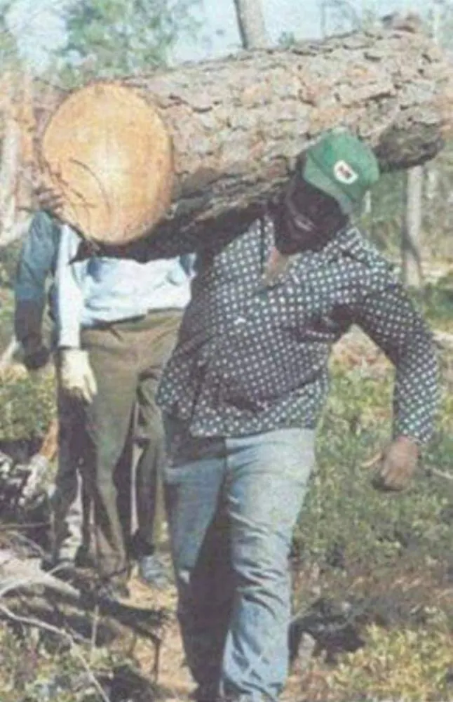 Local landscaping services near you in Haines City, FL by Kyng Of Kings