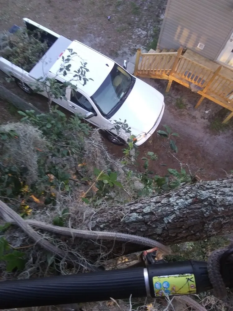 Expert landscape design in Haines City, FL by Kyng Of Kings