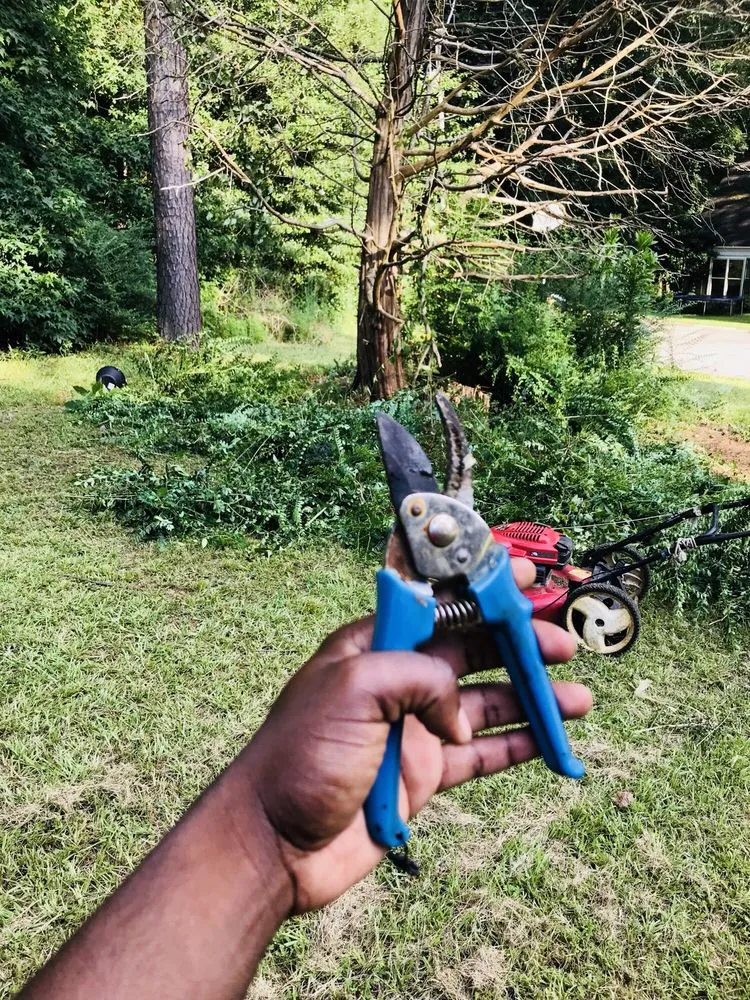 Expert outdoor landscaping in Decatur, GA - Kyngs Cut