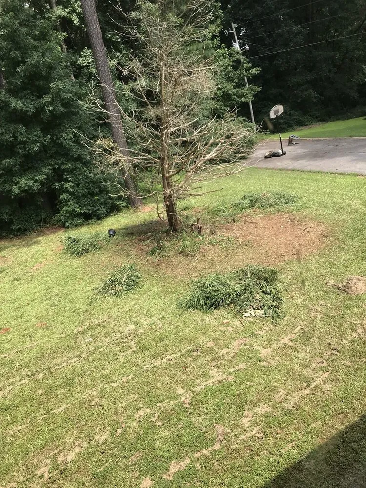 Reliable yard maintenance for residential properties across Decatur, GA - Kyngs Cut