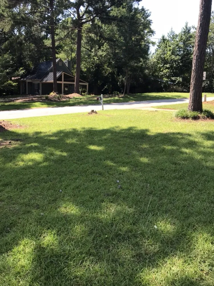 Reliable landscape design in Decatur, GA - Kyngs Cut