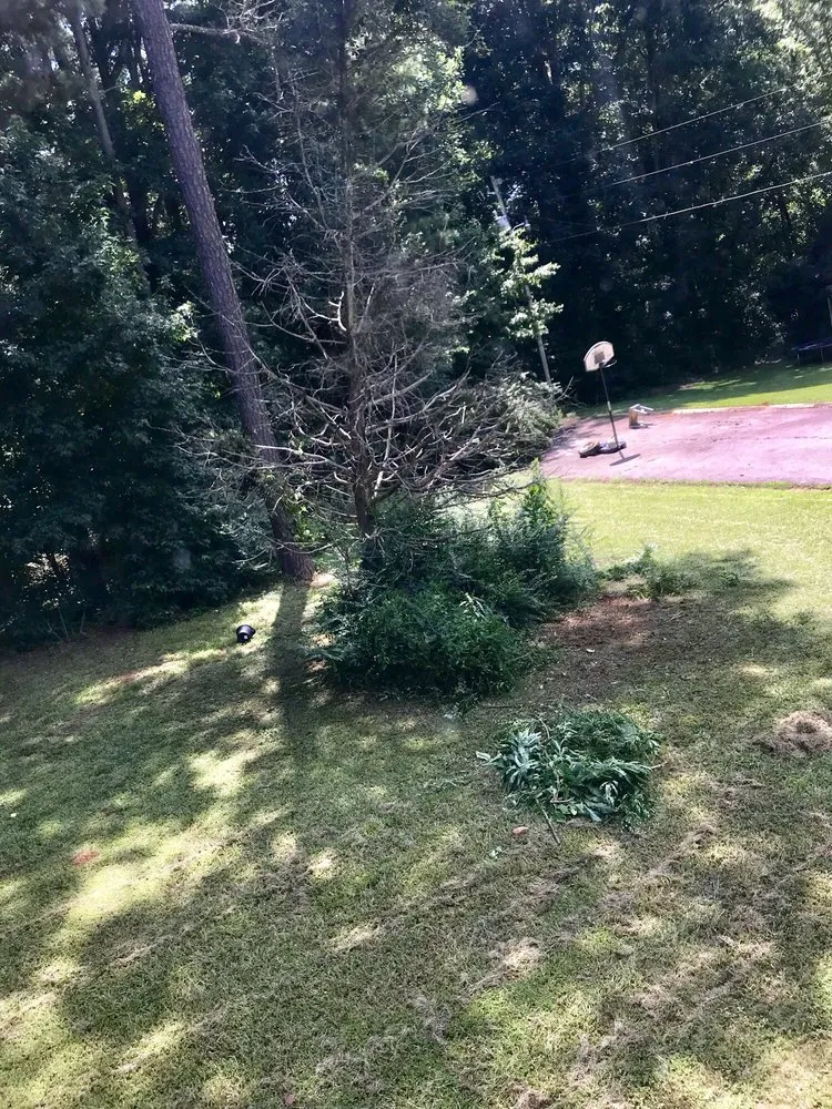 Professional landscape design experts serving Decatur, GA - Kyngs Cut