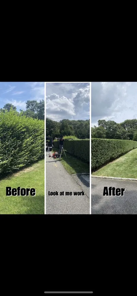 Custom garden landscaping for outdoor upgrades in Mastic Beach, NY by Kyons Landscape & Design