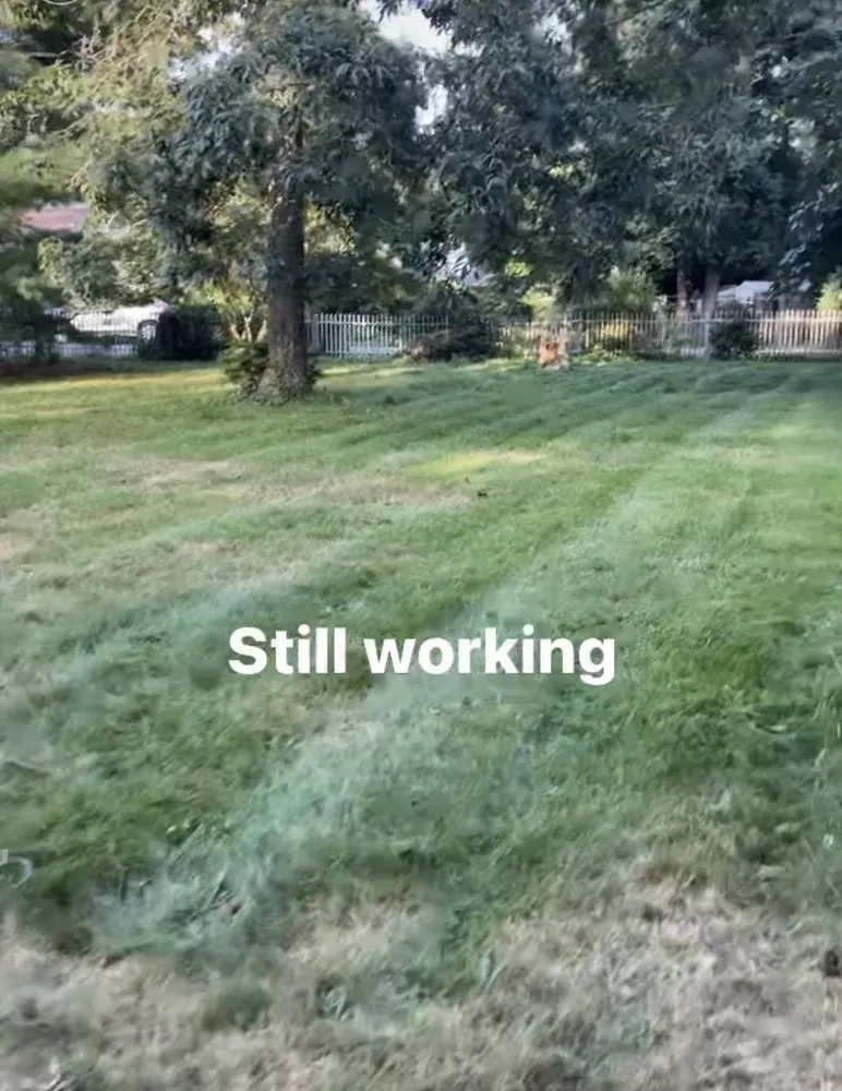 Local landscape installation for outdoor upgrades in Mastic Beach, NY by Kyons Landscape & Design