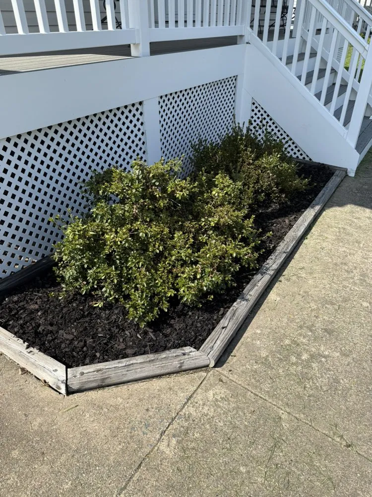 Professional lawn care service experts serving Fredericksburg, VA - Ky’s Lawn Care Services